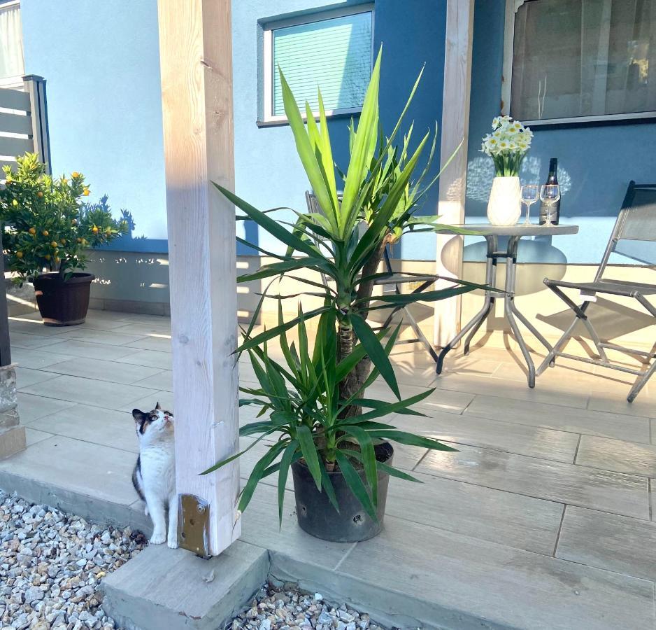 Ferienwohnung Kisvakond Vendeghaz Jeno Exterior foto